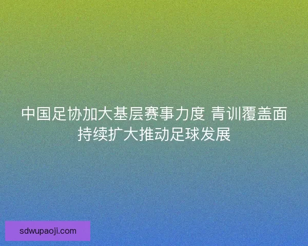中国足协加大基层赛事力度 青训覆盖面持续扩大推动足球发展